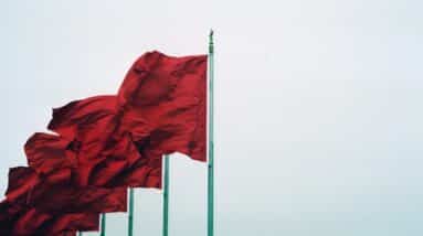 Photo "What Are the Red Flags to Watch Out for in MLM Companies?"