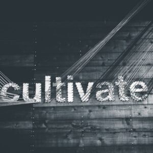 Photo "How Do I Build and Motivate an MLM Team?"