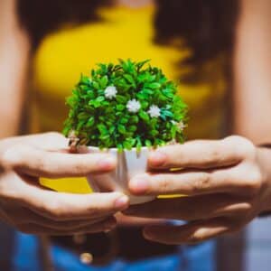 Photo "How Can You Build a Sustainable MLM Business?"