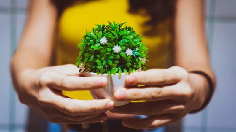 Photo "How Can You Use Sustainability Practices to Enhance Your MLM Business?"
