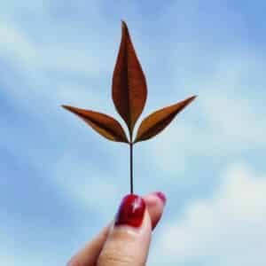 Photo "How Do You Create a Network Marketing Business That Values Sustainability?"