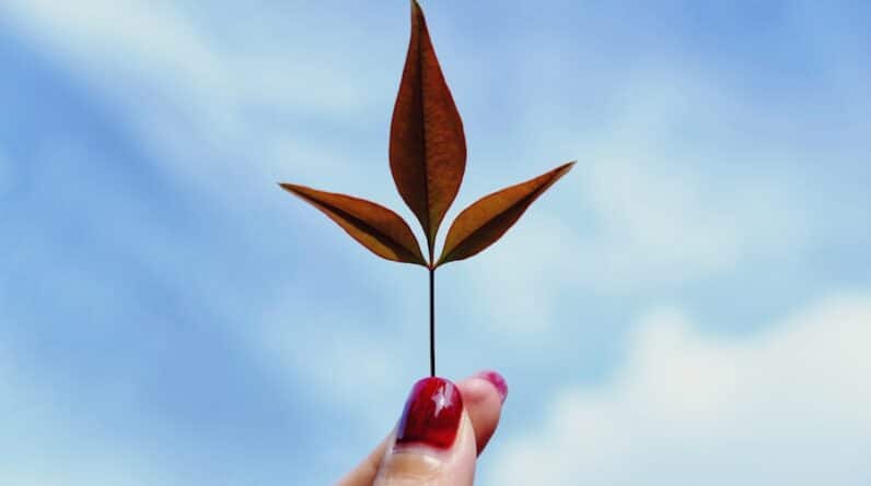 Photo "How Do You Create a Network Marketing Business That Values Sustainability?"