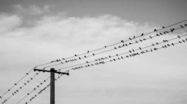 Photo "How Do You Create a Network Marketing Business That Values Continuous Improvement?"
