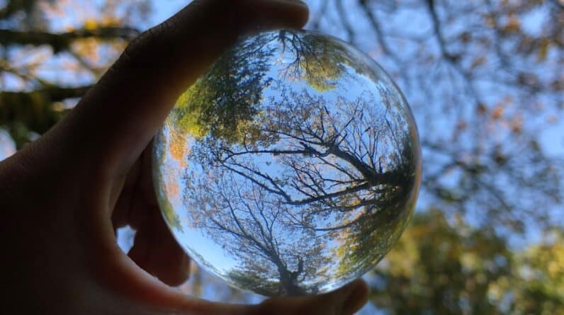 Photo "What Does Transparency Look Like in MLM?"