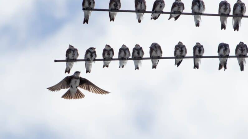 Photo "How Can CRM Systems Improve My Network Marketing?"