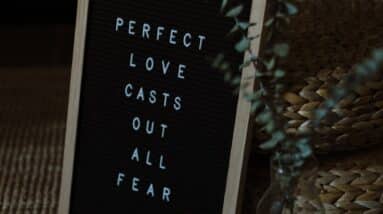 Photo "What Makes Someone a Perfect MLM Recruit?"