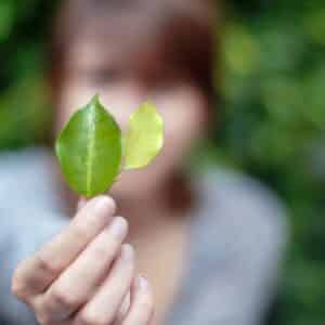 Photo "How Can MLM Support Environmental Sustainability?"